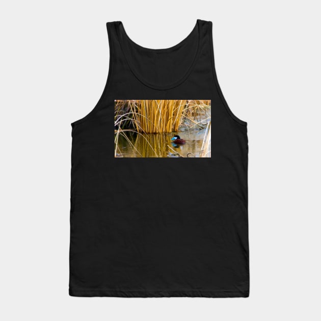 Ruddy Duck in Spring. Tank Top by CanadianWild418